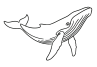 Outline drawing of a whale with the heading 'Heading' above it.